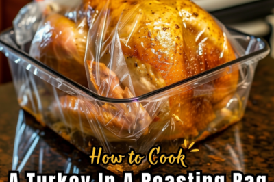 How To Cook A Turkey In A Roasting Bag 