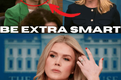 The Reporter Wanted To Lure Press Secretary Leavitt Into A Trap, Failed Instantly.