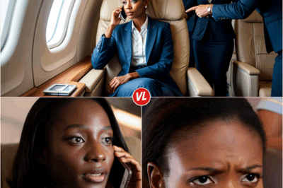 Black CEO Removed from VIP Seat for White Passenger—Minutes Later, Entire Airline Crew Faces Shocking Consequences!