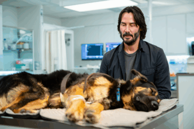 KEANU, JOHN WICK REAL-LIFE, AND A DOG NAMED DUKE: Keanu Reeves’ life, much like his iconic character John Wick, was filled with painful loss and darkness—but his dog, Duke, became his saving grace both onscreen and off. Yet unlike the tragic movie scene that broke hearts, the real-life Duke’s courage led to a miraculous and inspiring ending. See why this incredible true story is touching millions right now!
