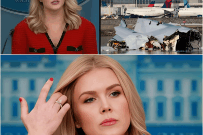 White House Sparks Debate: Karoline Leavitt Defends Ending DEI Policies at FAA After Deadly Air Collision