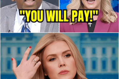 Explosive Showdown: Karoline Leavitt Leaves Michael Steele Speechless on National Television