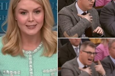 THIS JUST HAPPENED: Shocking Fallout—Reporter FIRED After INSULTING Karoline Leavitt on Live TV! In a dramatic turn of events, a reporter was fired after making a humiliating insult toward Karoline Leavitt during a live interview.