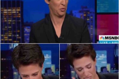Rachel Maddow playfully mocks her “Higher-Ups’” reaction after becoming the most unpopular “Leader” since the advent of modern polling.