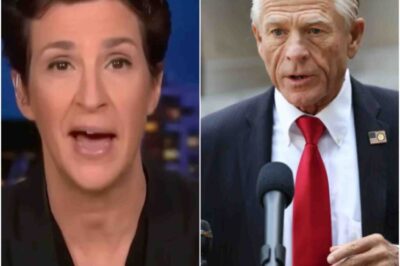 Rachel Maddow Blasts Peter Navarro For Inventing ‘Expert’ Who Inspired Trump’s Tariffs Plan