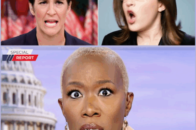 Something Suspicious Happened To MSNBC as stars fled and millions of fans turned away, but the desperate move to save the day confirmed all suspicions.123