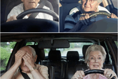 ⚠️ Rumors Swirl About New Federal Rules Targeting Senior Drivers — Here’s What We Found – Is the DOT Really Making It Harder to Keep Your License After 60?