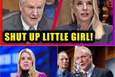 THE MOMENT TRUTH HIT LIKE A GAVEL: Chris Van Hollen Just Taught Pam Bondi a Brutal Lesson in Accountability — it drove her CRAZY and America Was Watching.