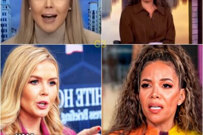 ABC IN CRISIS: The View Yanked Off Air After Explosive Confrontation With Karoline Leavitt—Network Refuses to Explain Vanishing Act as Fans Demand to Know What Was Said When the Cameras Went Dark1
