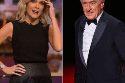 BREAKING: Robert De Niro Silences Megyn Kelly Live On Air With Eight Chilling Words—Fans Say They’ve Never Seen Her So Speechless.