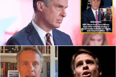 BREAKING: “I WILL GET REVENGE.” — TERRY MORAN, FIRED FROM ABC, GETS A NEW JOB IN JUST 24 HOURS. NOW HE’S BREAKING THE SILENCE—AND IT’S GOING TO HURT.