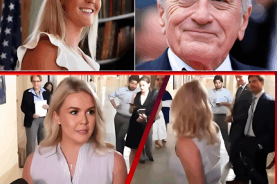“Sit down, Barbie—you’re not fit to be a role model for troubled high schoolers, let alone for America.” Karoline Leavitt Goes After Robert De Niro On Live TV — But One Calm Sentence Flips the Entire Room Against Her