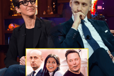 Rachel Maddow: “You Want to Talk Morals, Stephen?” — The 7 Words That Dismantled Him on Live TV